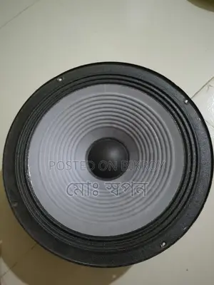 10" Speaker