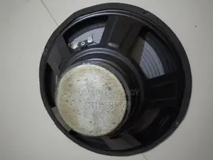 10" Speaker