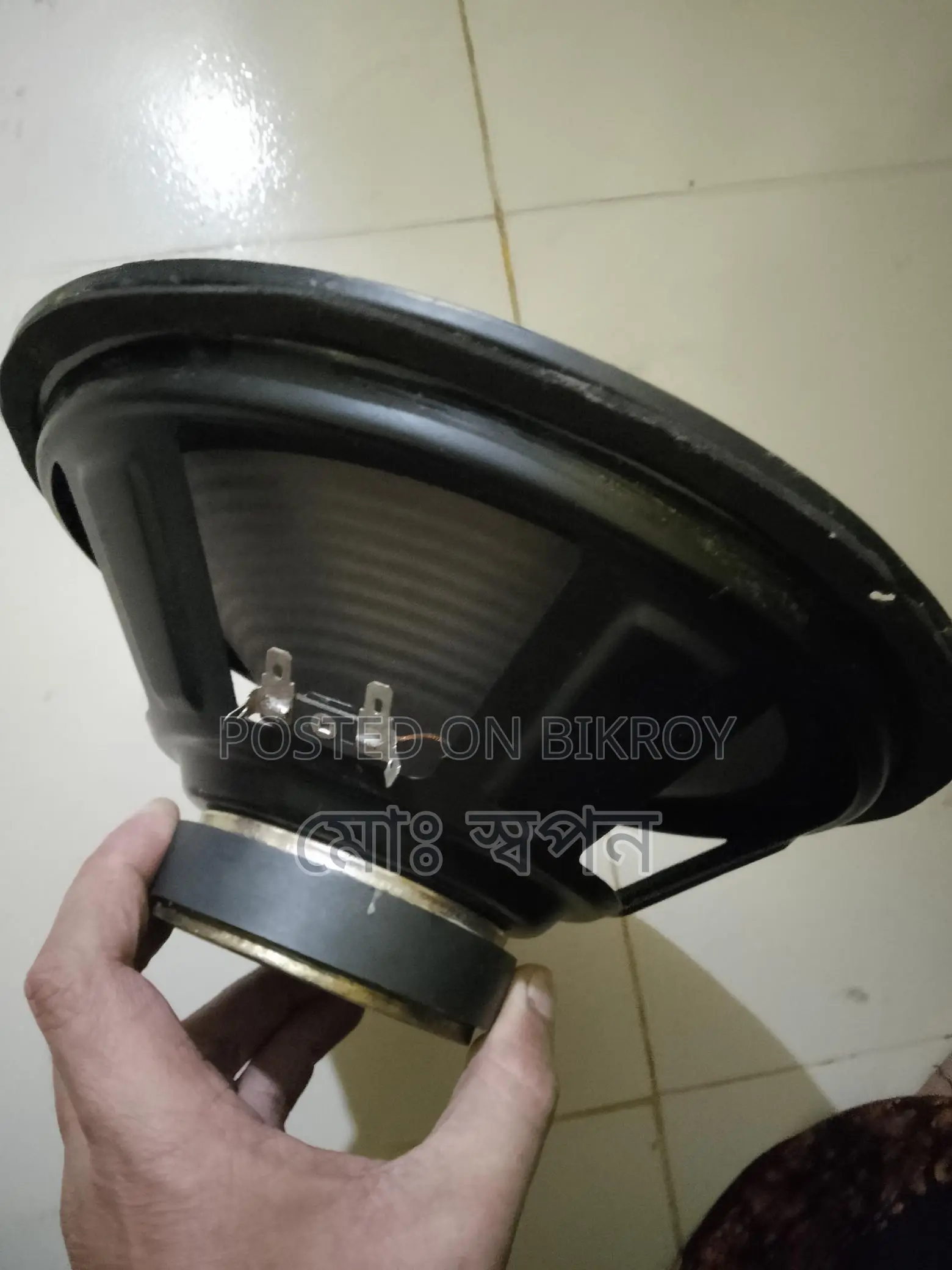 10" Speaker