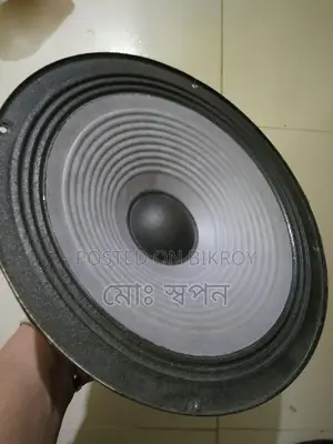 10" Speaker
