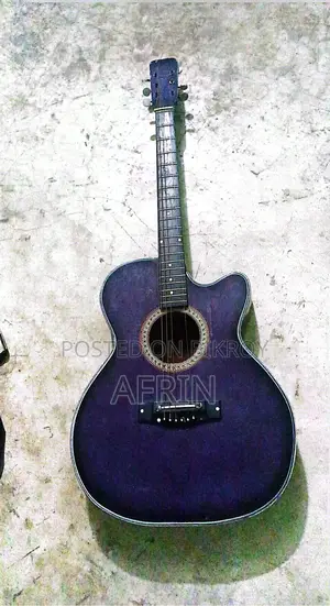 একটি গিটার ব্যাগ নিলে ফ্রি