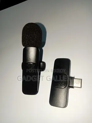 wireless microphone