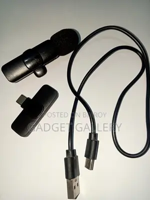 wireless microphone