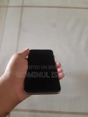 Apple iPhone X 256 (Used)