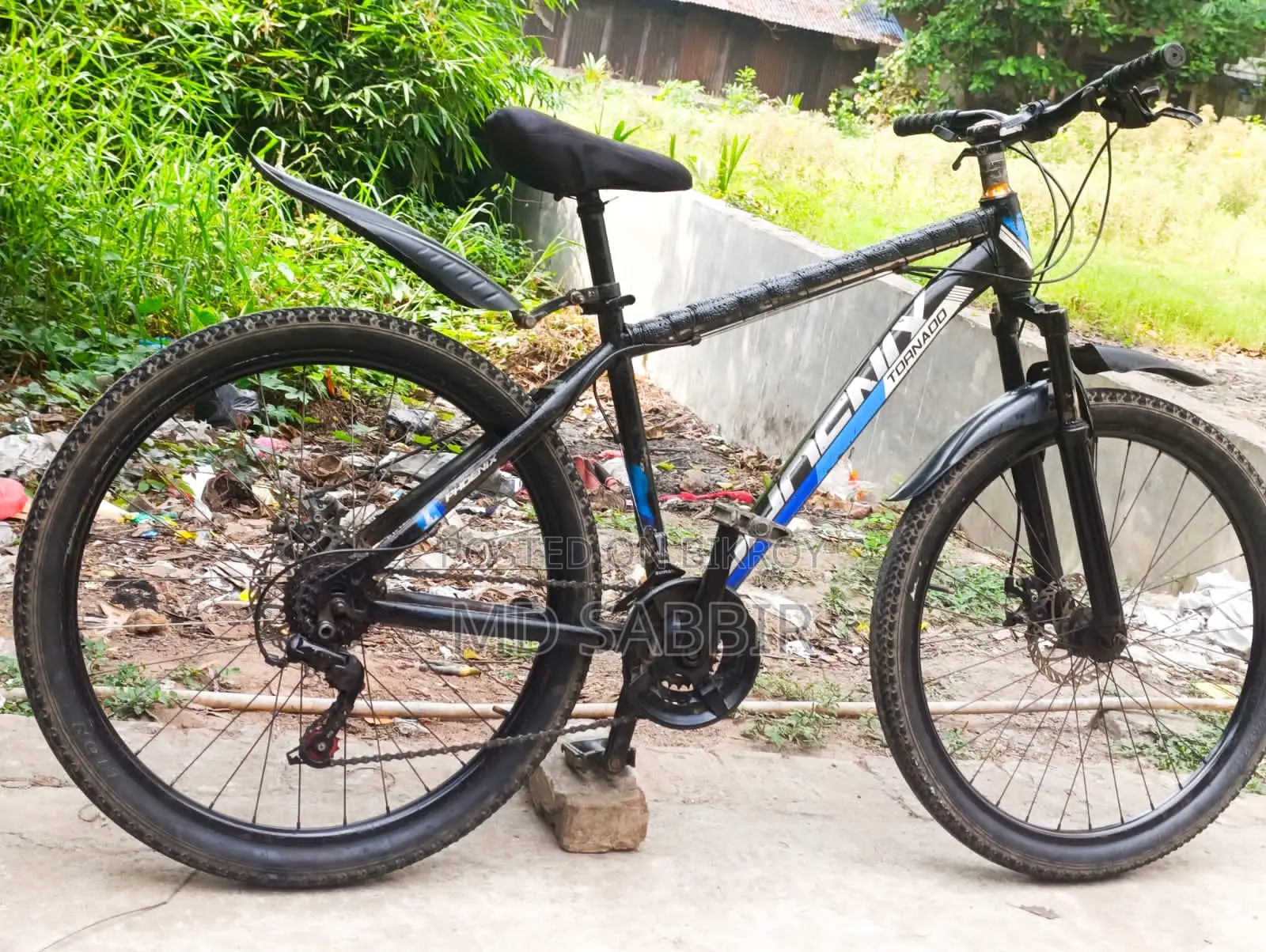 Phoenix Bicycle for Sale