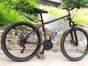 Phoenix Bicycle for Sale