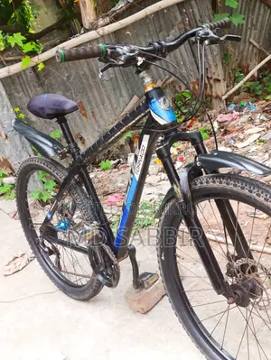Phoenix Bicycle for Sale