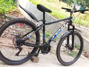 Phoenix Bicycle for Sale