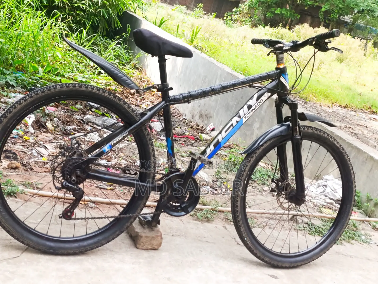 Phoenix Bicycle for Sale