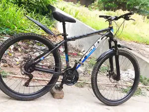 Phoenix Bicycle for Sale