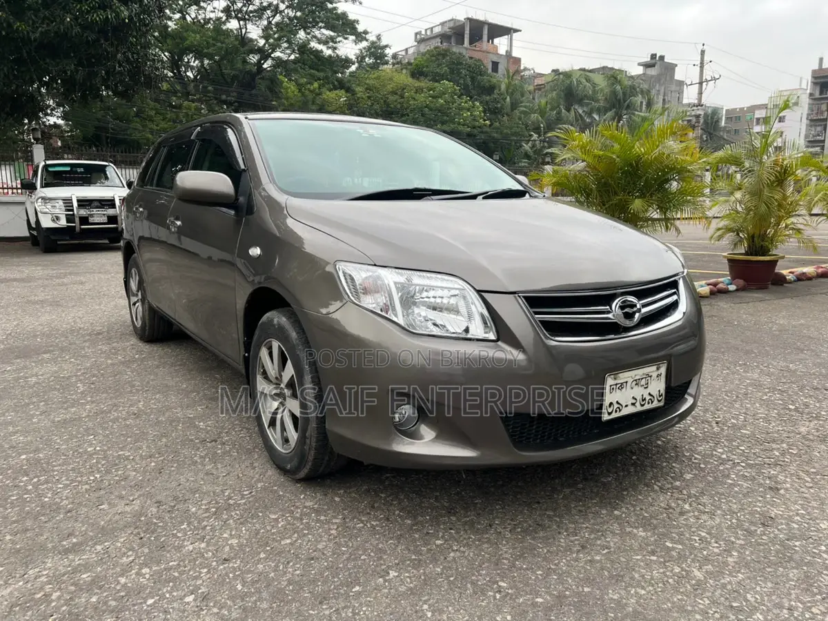 Toyota Axio 2010 Gray