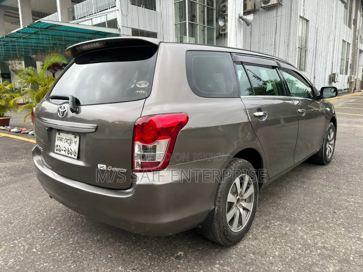 Toyota Axio 2010 Gray
