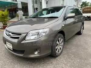 Toyota Axio 2010 Gray