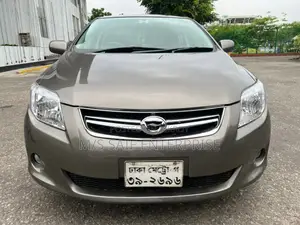 Toyota Axio 2010 Gray