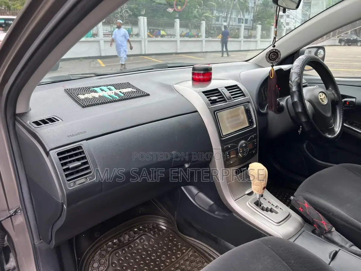 Toyota Axio 2010 Gray