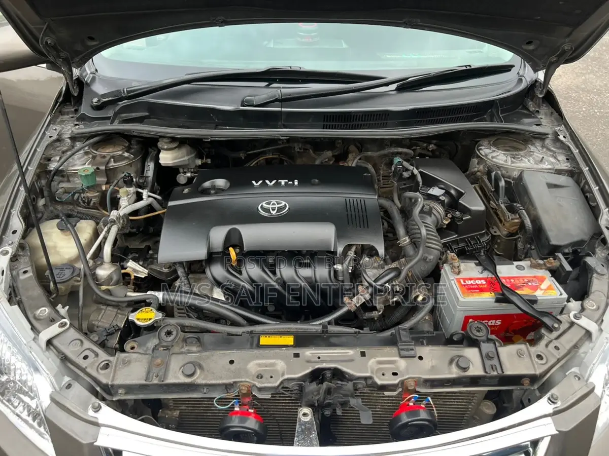 Toyota Axio 2010 Gray