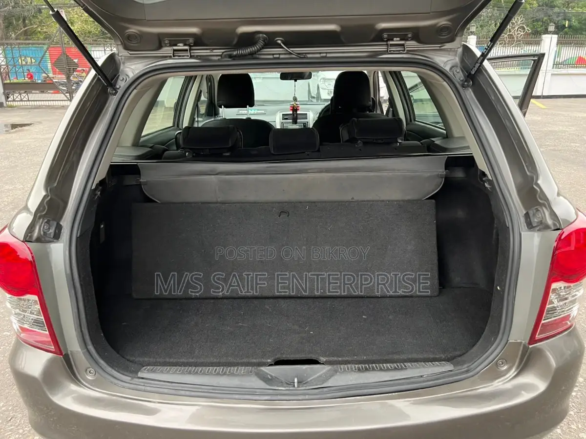 Toyota Axio 2010 Gray
