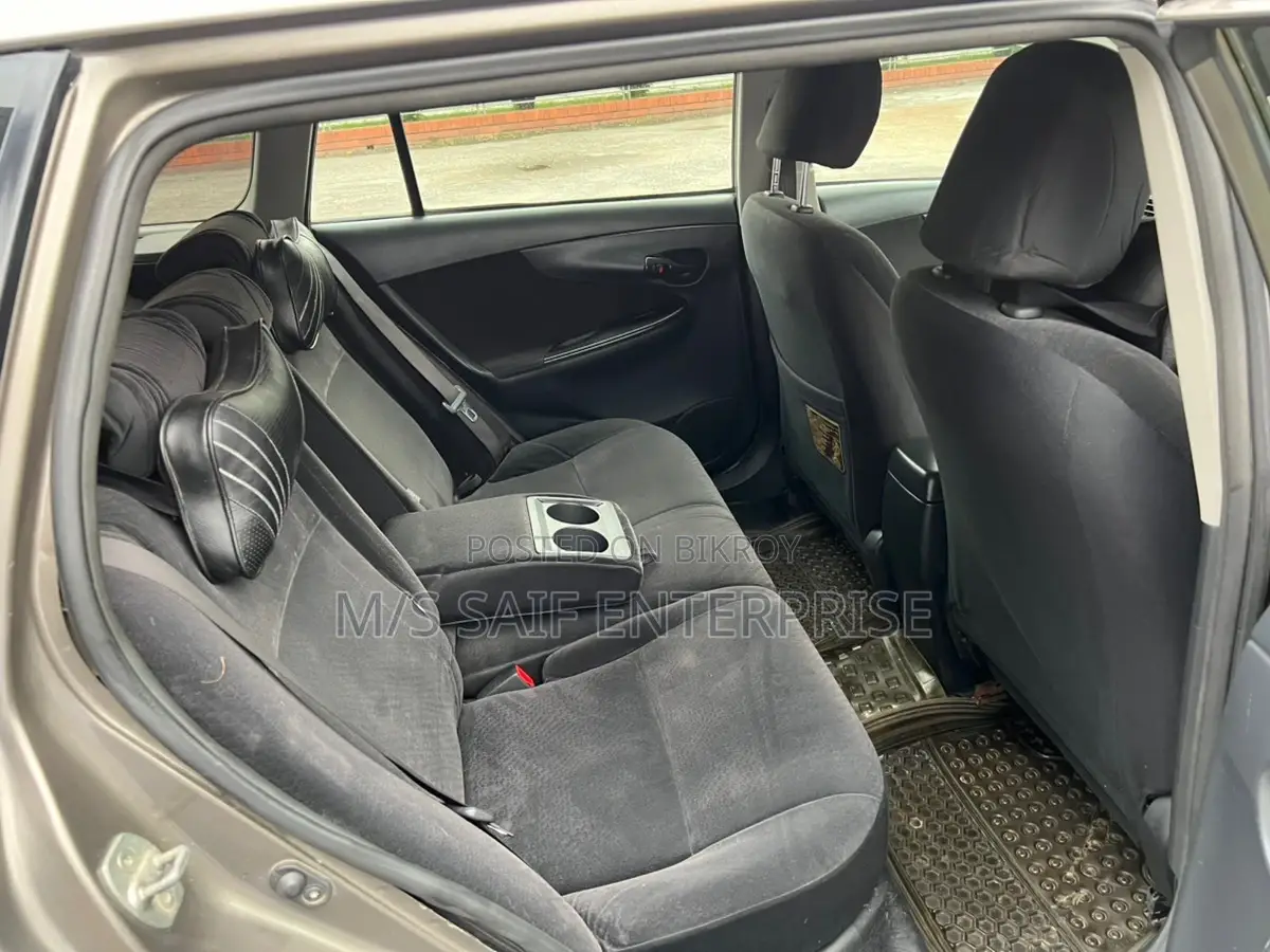 Toyota Axio 2010 Gray