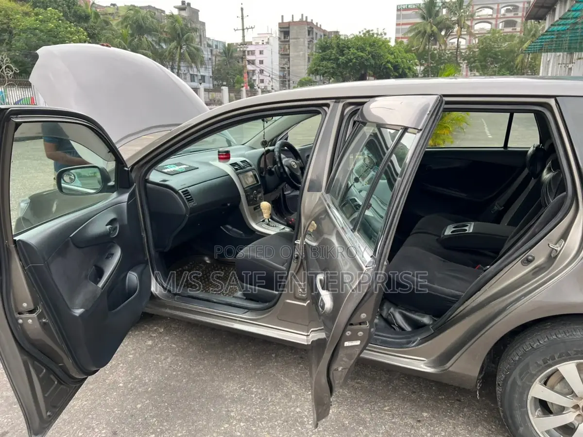 Toyota Axio 2010 Gray