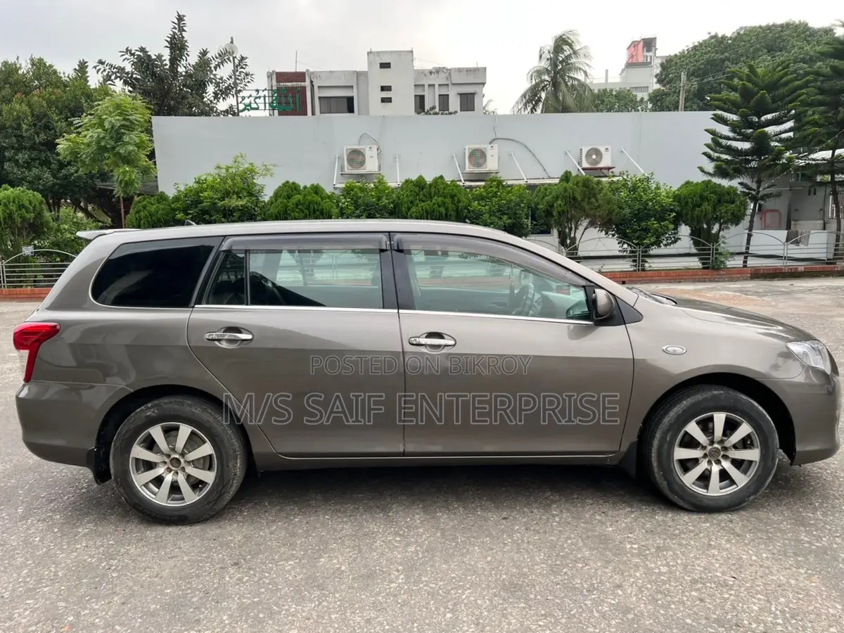 Toyota Axio 2010 Gray