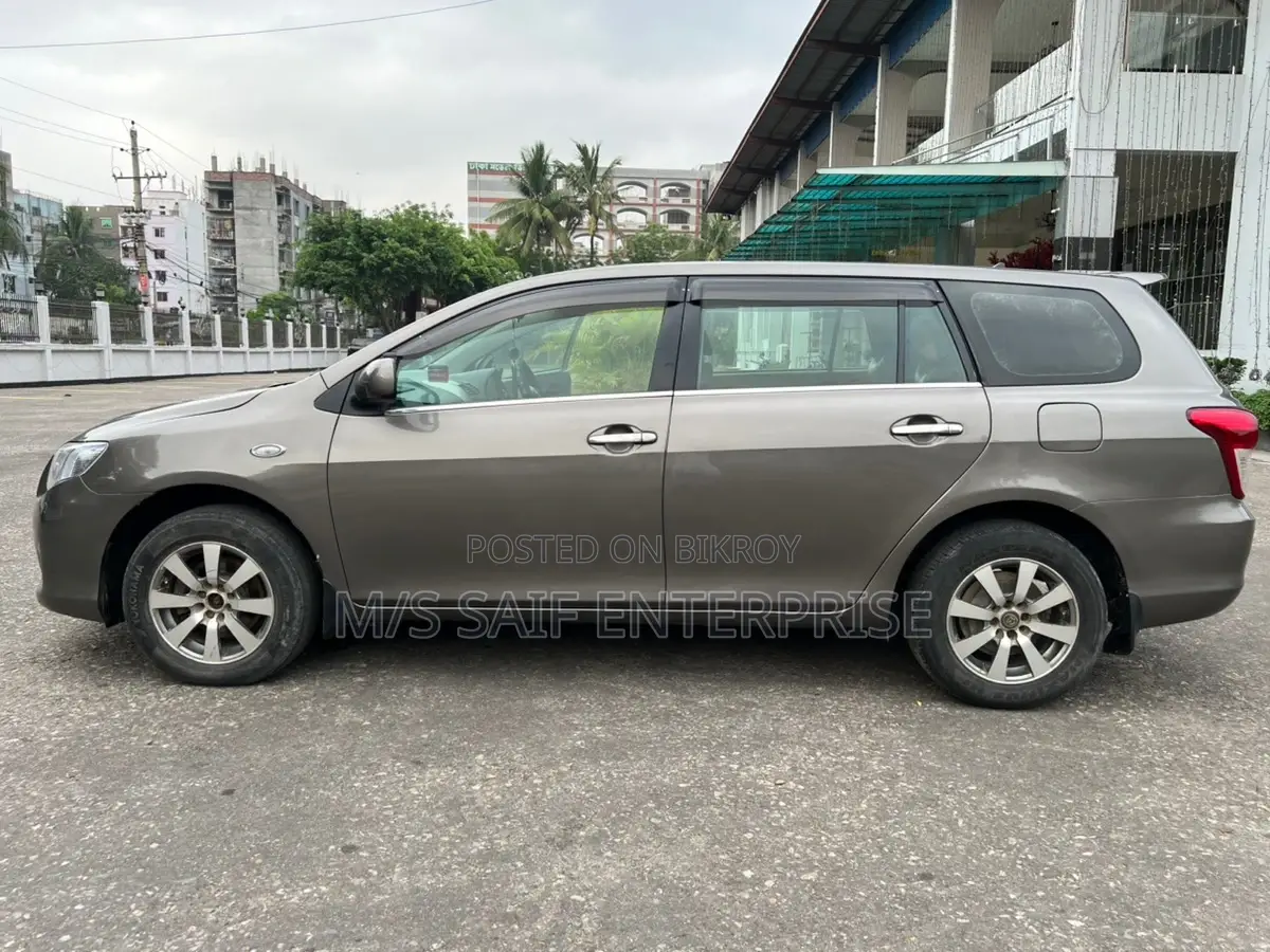 Toyota Axio 2010 Gray