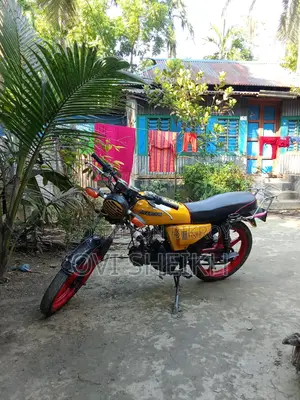 Freedom Runner Bike for Sale 2000