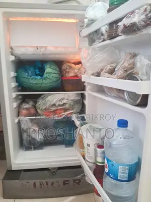 Singer Energy Saving Refrigerator-full Running