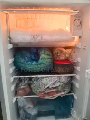 Singer Energy Saving Refrigerator-full Running