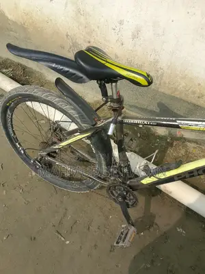 Gear Bicycle