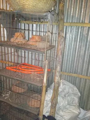কবুতরের খাঁচা বিক্রি হবে