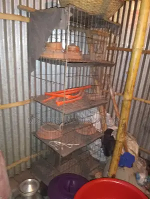 কবুতরের খাঁচা বিক্রি হবে