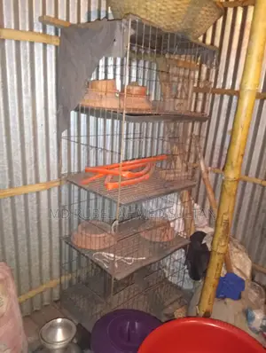 কবুতরের খাঁচা বিক্রি হবে