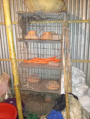 কবুতরের খাঁচা বিক্রি হবে