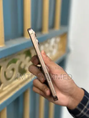 Apple iPhone 16 Pro Max (Used)