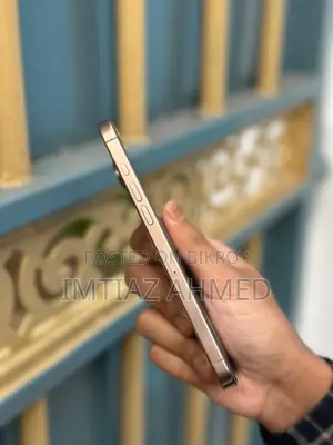 Apple iPhone 16 Pro Max (Used)
