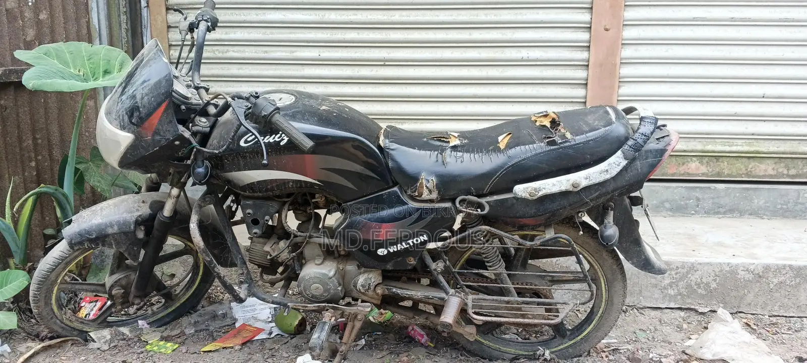 Walton Cruize 100 CC 2018