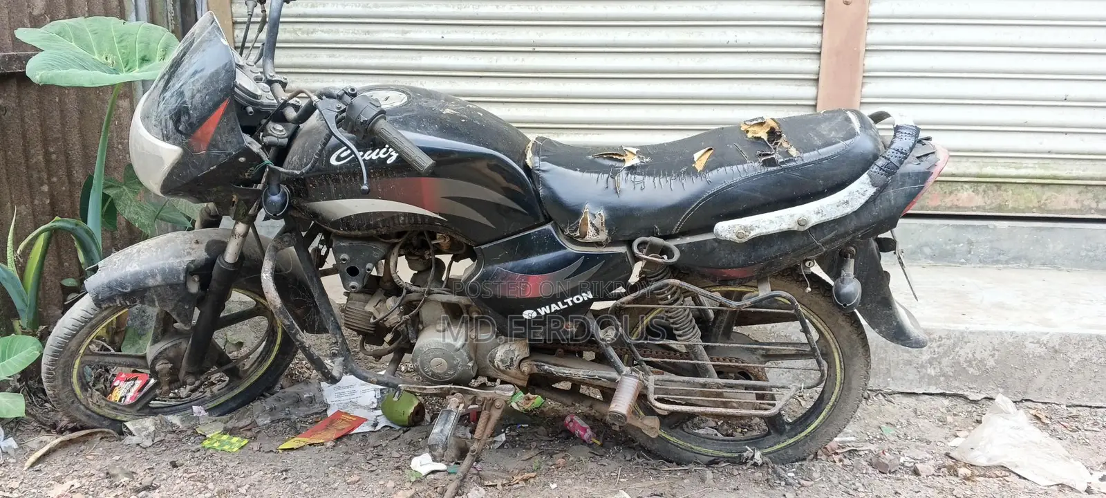 Walton Cruize 100 CC 2018