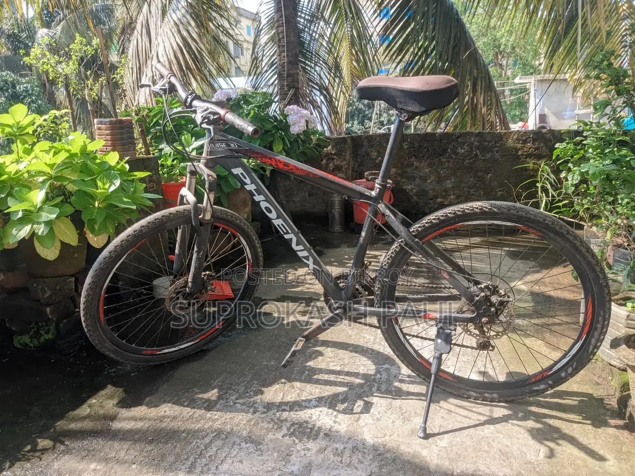 Phoenix Cruise 30 Gear Bicycle for Sale