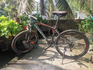 Phoenix Cruise 30 Gear Bicycle for Sale