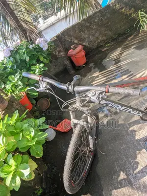 Phoenix Cruise 30 Gear Bicycle for Sale