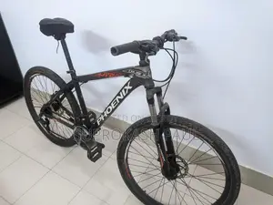 Phoenix Cruise 30 Gear Bicycle for Sale