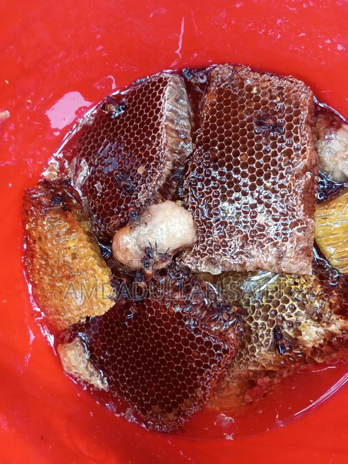 Pure Honey from Natural Sundarbans Beehive