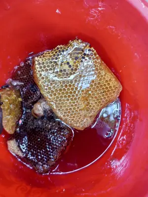 Pure Honey from Natural Sundarbans Beehive