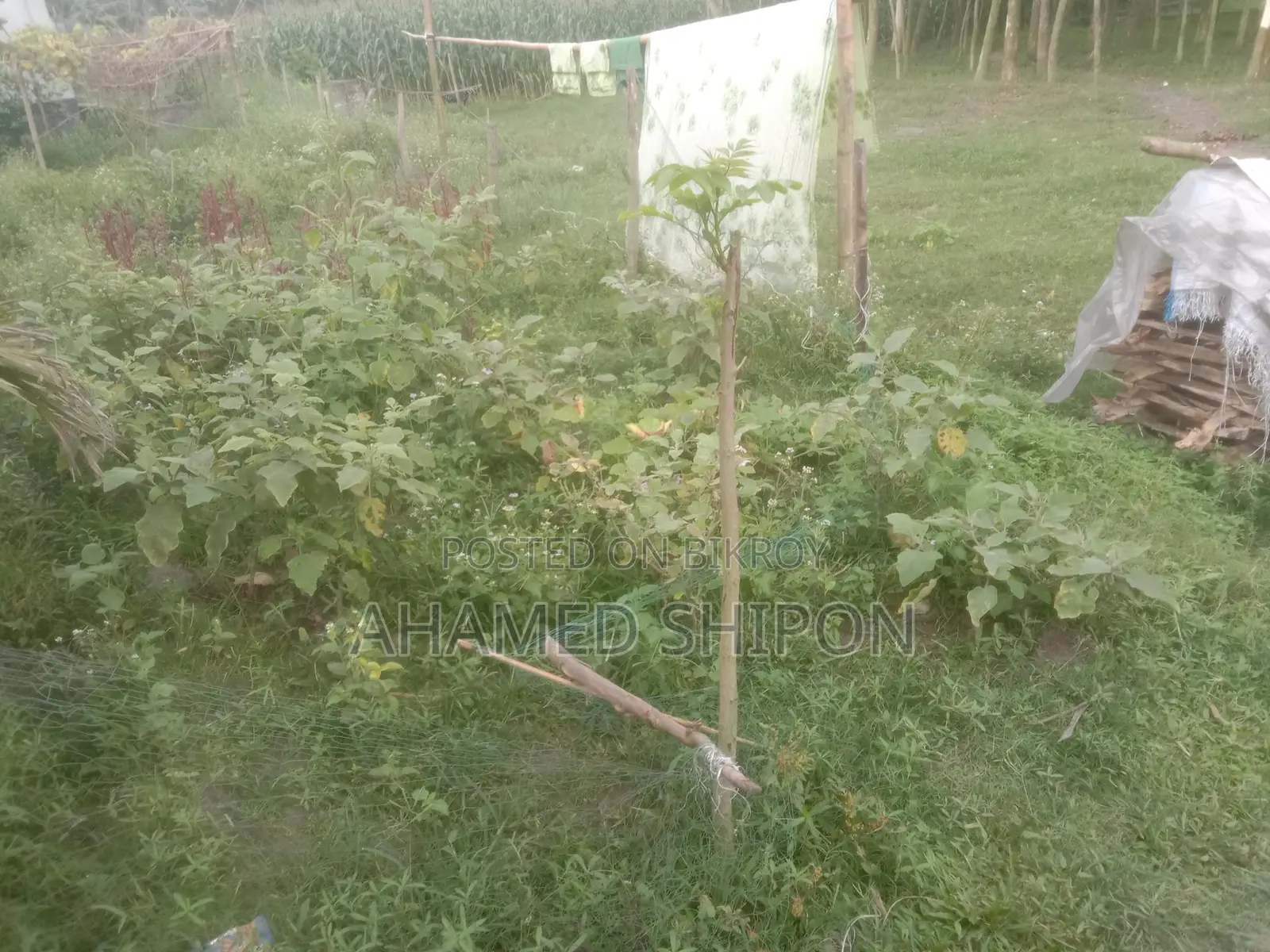 Emergency Land for Sale