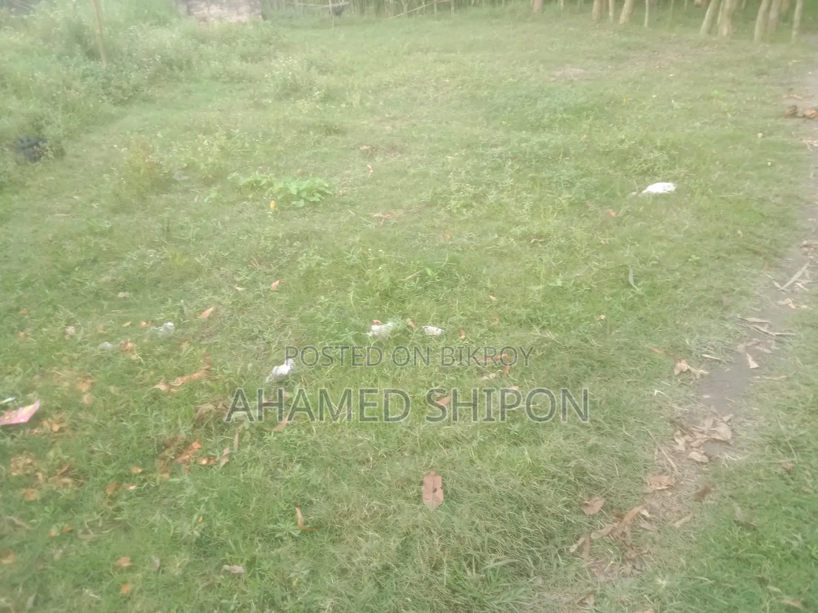 Emergency Land for Sale