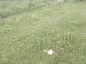Emergency Land for Sale