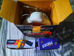 Fan, Battery, and Charger