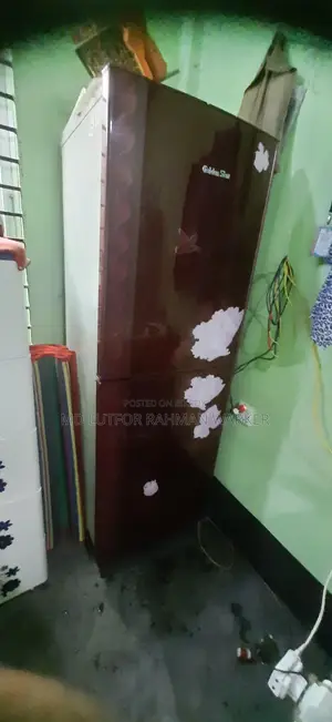 Running Fridge Golden Star 17cft
