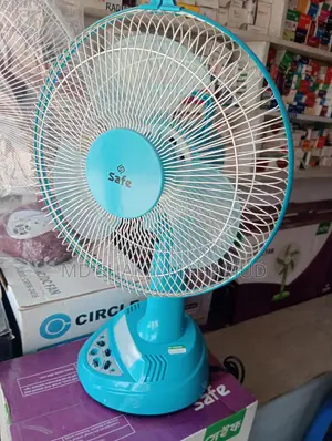 Rechargeable Fan
