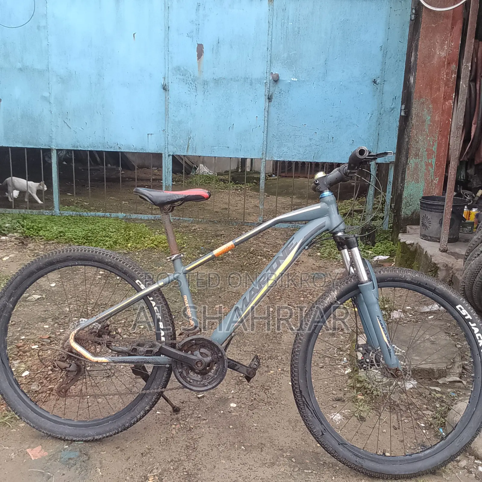 Bicycle for Sale